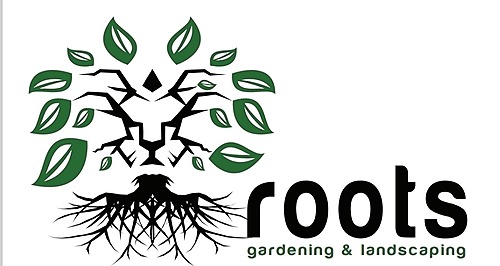 rootslarnaca