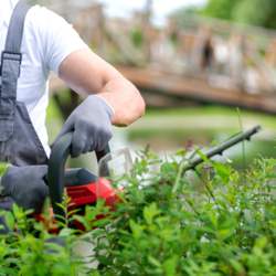 agronexperts