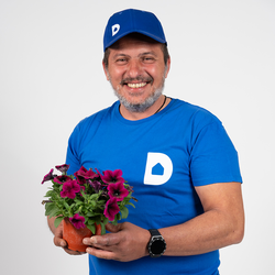 georgepapadimitriou