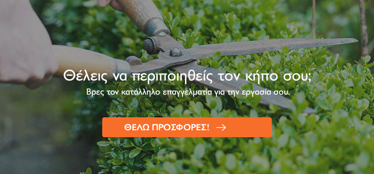 φυτά εξωτερικού χώρου