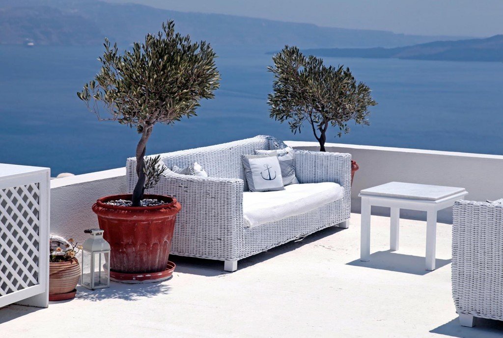 δέντρα για μπαλκόνι