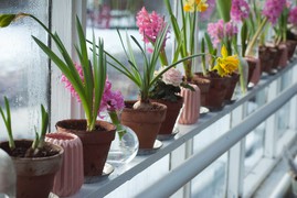 garden decorations
