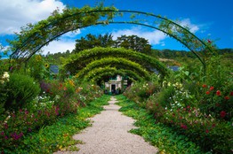 garden on a budget