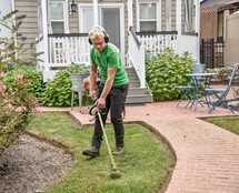 Professional Gardener
