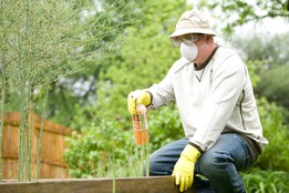 Summer Pest Prevention