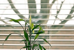 installing blinds