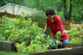 Yourhero - Fertilizar plantas