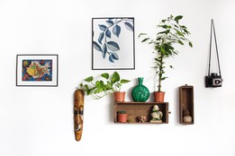 Decorating your House on a Budget