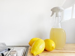 produtos de limpeza naturais