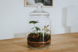 Terrário