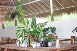 Yourhero - Vasos decorativos para interior