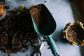 horta em casa