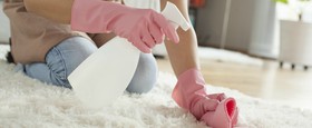 αντιμετωπιση ψυλλων με φυσικο τροπο