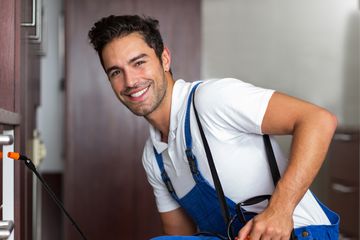Pest Control Dublin