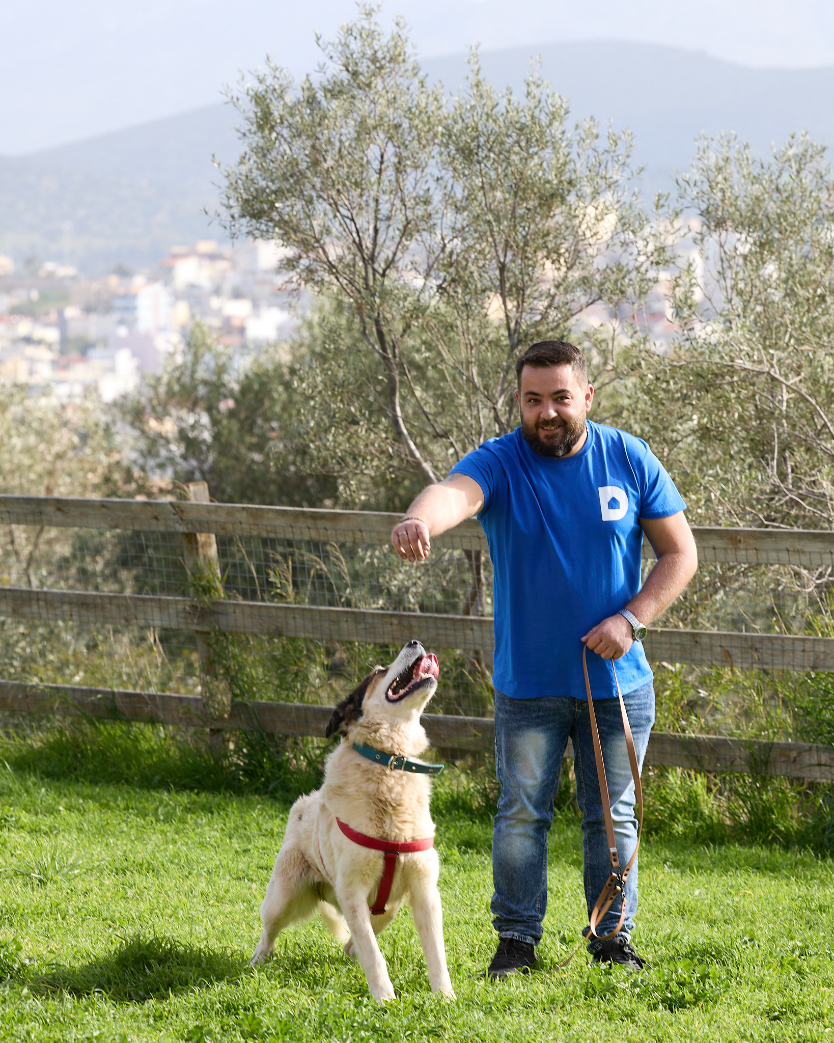 Κώστας, Δήμητρα & TEO